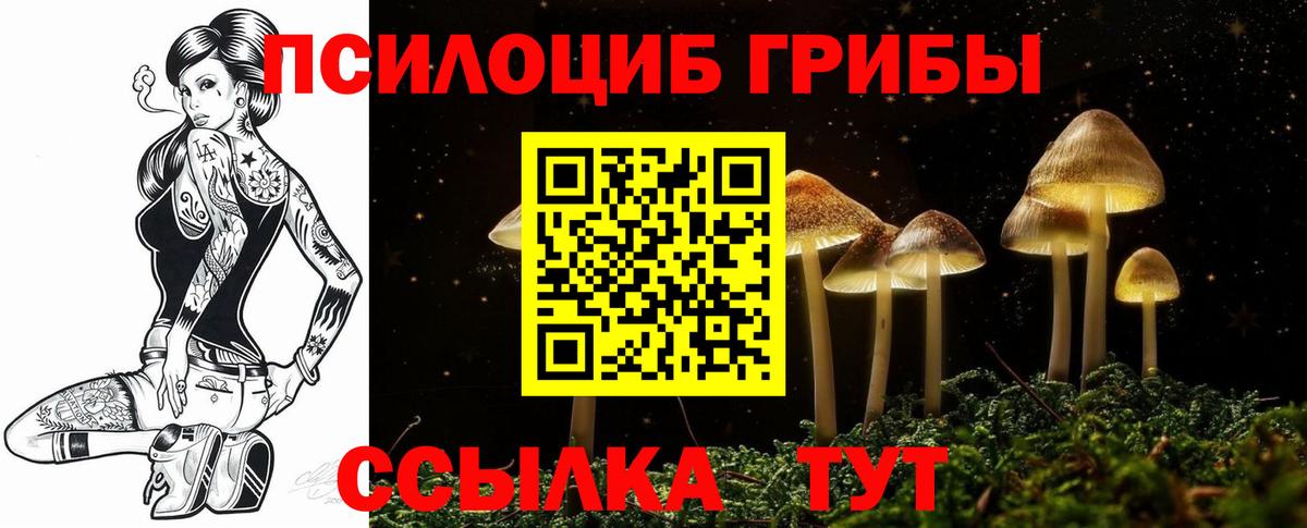 Слободской  Псилоцибиновые грибы Magic Shrooms  даркнет сайт  Вход с VPN 